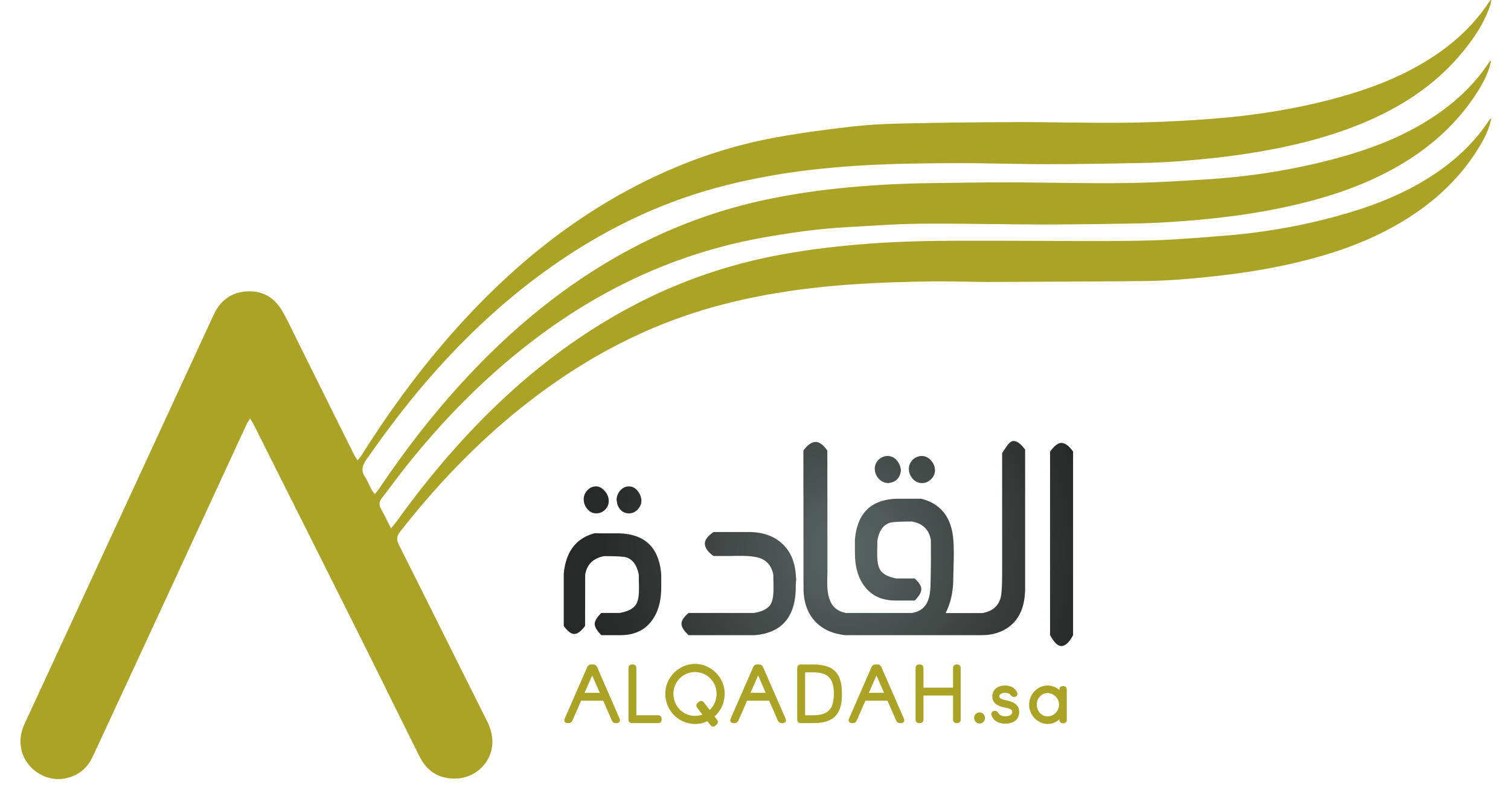 القادة لتقنية المعلومات